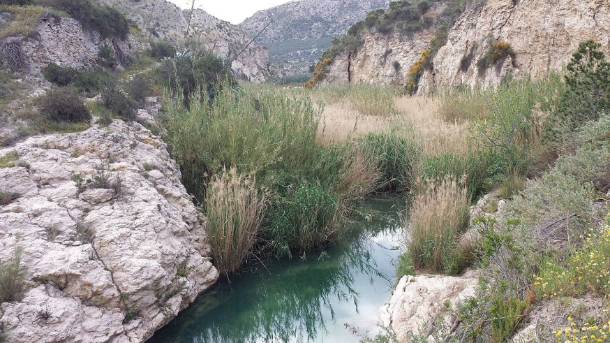 VIVA LA RADIO. Cambiemos el mundo. Foodtopía. Río de Aguas (Almería), un oasis amenazado en el desierto 