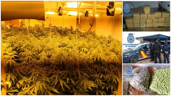 Plantación de marihuana, alijos de droga y detención por policías