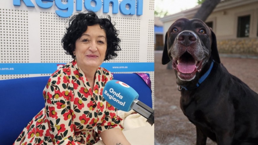 Animalicos, con Rosa Sánchez. Paseos con perros
