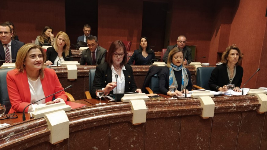 Comparecencia de la consejera de Mujer, Igualdad, LGTBI, Familias y Política Social. ORM.