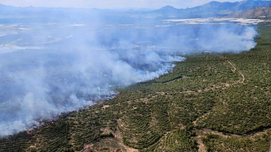 El Gobierno declara zona gravemente afectada por emergencias las 400 hectáreas arrasadas por el fuego en Sierra Espuña