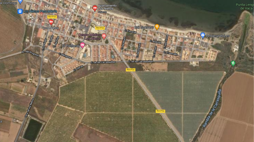 El TSJ obliga a arrancar 5 hectáreas de cítricos en una zona de protección integral del Mar Menor
