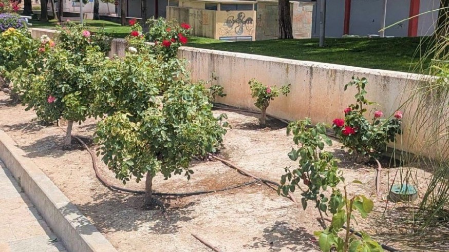 Segunda edición del proyecto 'Apadrina un jardín' en Bullas