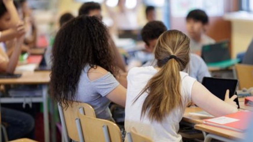 ANPE reclama a Educación más orientadores y psicólogos en los centros educativos 