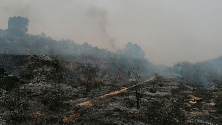 Extinguido el fuego en una zona forestal de Lorca