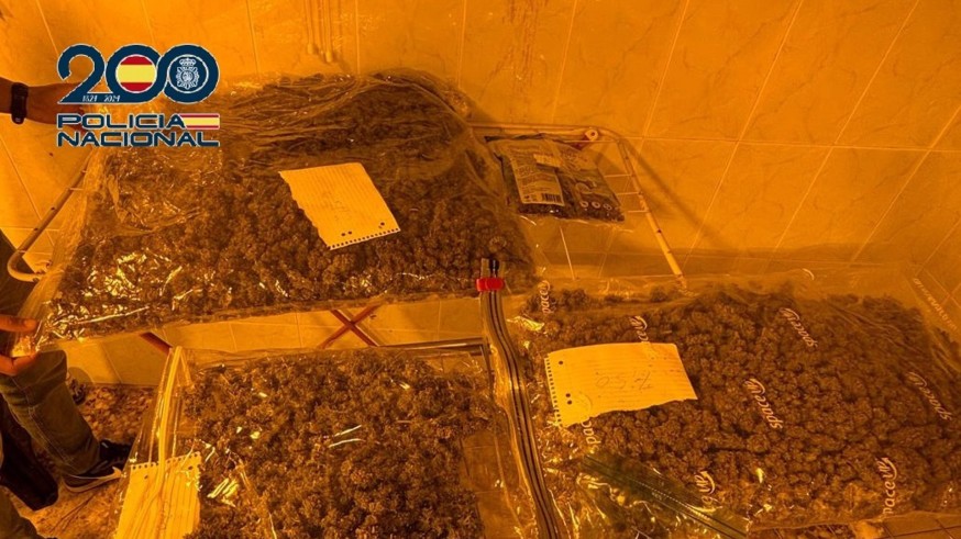 Desmantelan un punto de venta de marihuana en el barrio cartagenero de Las Cuatrocientas