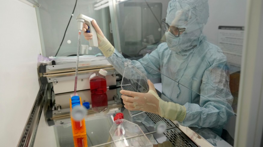 Murcia impulsa la ciencia: células madre contra la osteoporosis, avances en inmunología y el reto de divulgar la investigación
