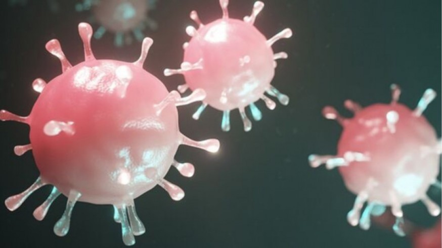 Científicos constatan que el coronavirus ha experimentado mutaciones en Europa