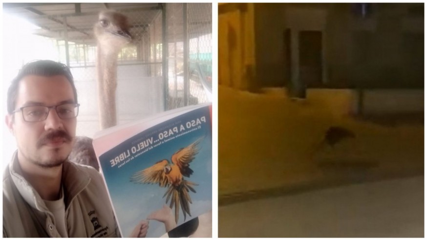 Ricardo Navarro y un fotograma del vídeo del canguro en Monteagudo