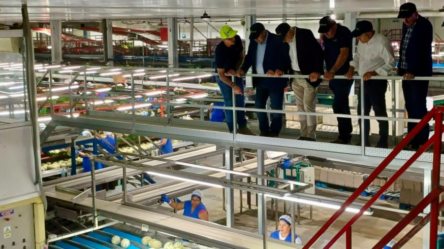 Las exportaciones de melón de la Región crecen un 3,5% y el sector confía en mejorar la campaña