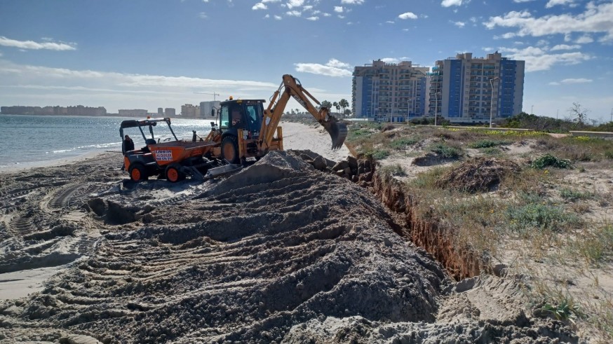 El Gobierno inicia la restauración de dunas en seis zonas de La Manga del Mar Menor