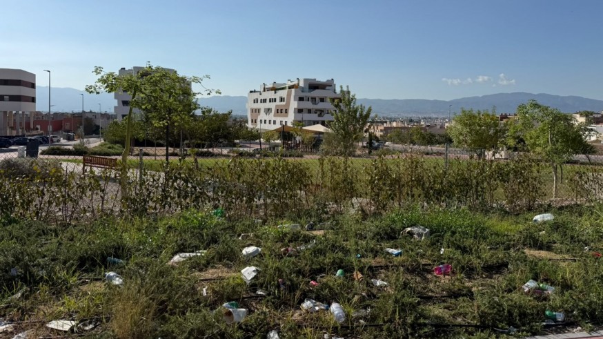 El PSOE de Murcia reclama un nuevo contrato de parques y jardines ante el deterioro de las zonas verdes