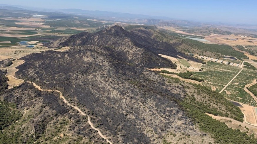 Extinguido el incendio forestal de La Patoja en Jumilla