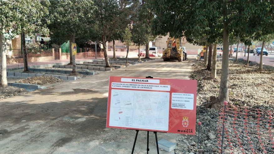 Actualidad de barrios y pedanías. El Palmar y Patiño