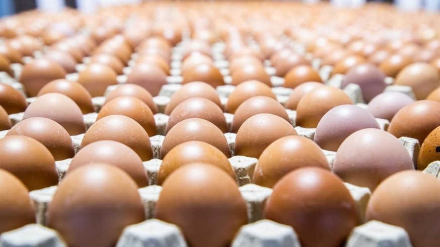 Comprar huevos es un 30% más caro que hace un año
