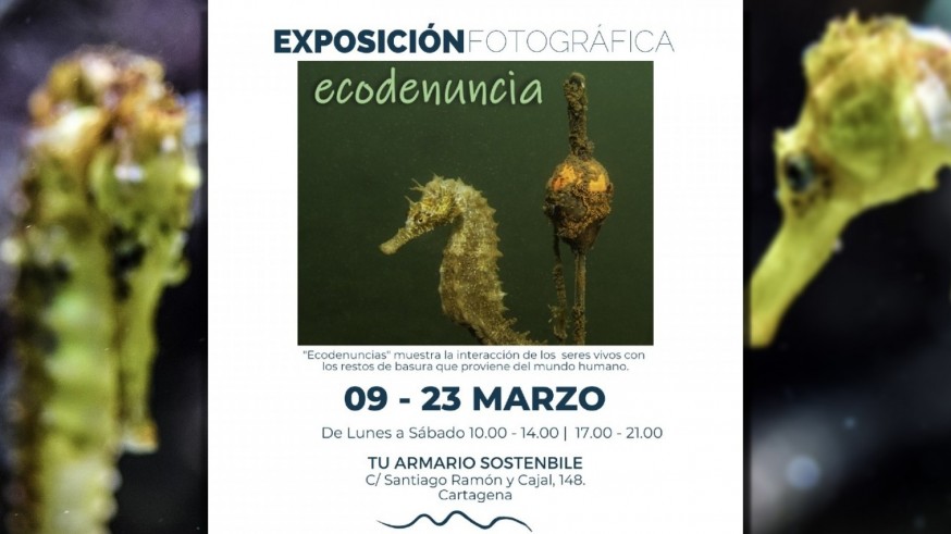 Hablamos con José Luis Alcaide de la exposición fotográfica 'Fotodenuncia' y de la interacción de los seres vivos con los restos de basura