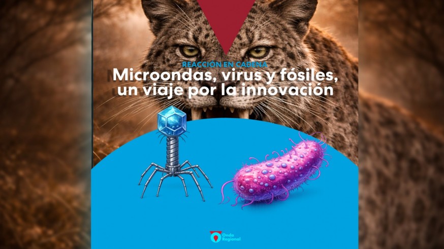 Microondas, virus y fósiles, un viaje por la innovación