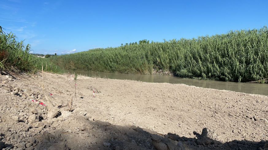 TURNO DE NOCHE. La Ribera de Molina recupera la playa fluvial de La Peñetas
