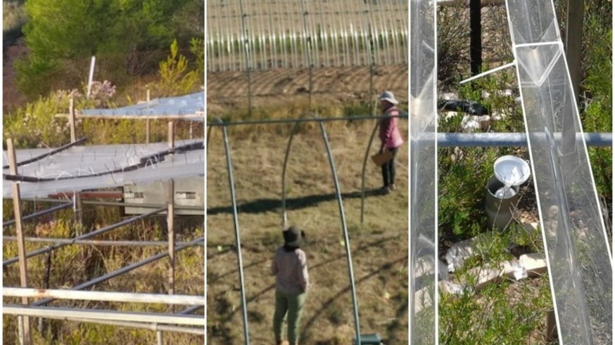 La sequía impacta también en la vegetación de matorral y pastizales