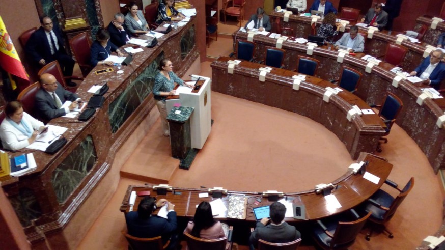 Pleno Asamblea Regional