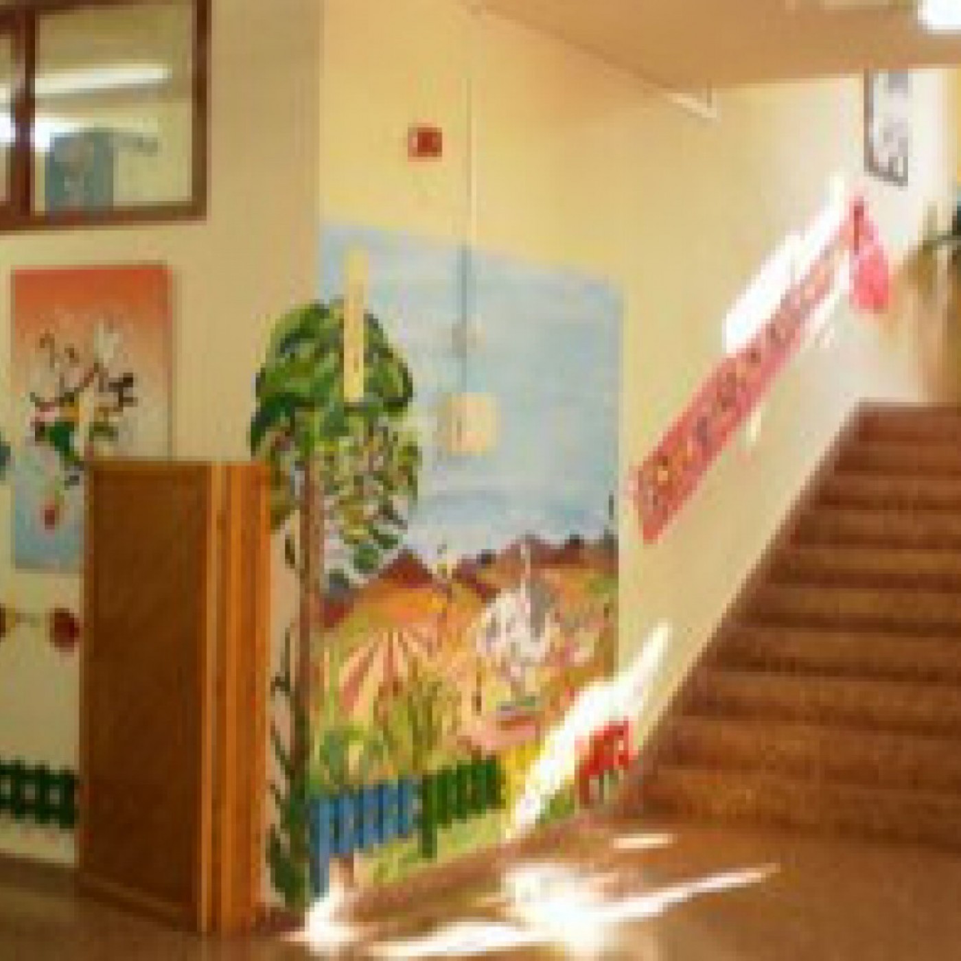 REPORTAJE: la vuelta al colegio en el CEIP Anita Arnao de Mula