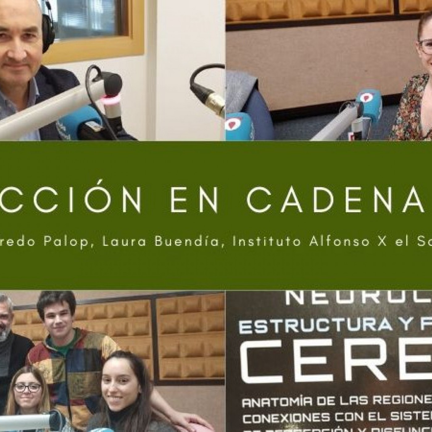 REACCIÓN EN CADENA