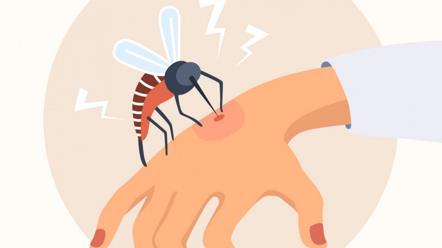 Una cita con Sherlock Health, con Christian de la Fe. Detectado un caso autóctono de chikunguya en Hendaya