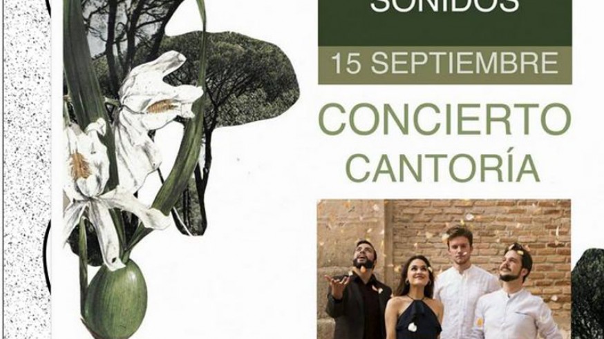 Cartel conciertos Majal Blanco Sonidos