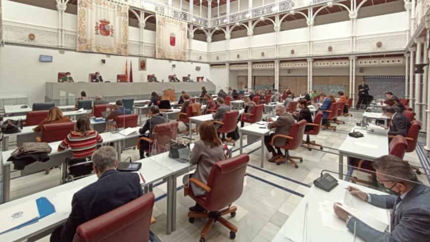 La Asamblea aprueba la tramitación de la Ley de Atención Temprana