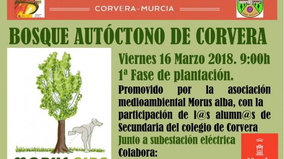 MURyCíA. Reforestación en Corvera