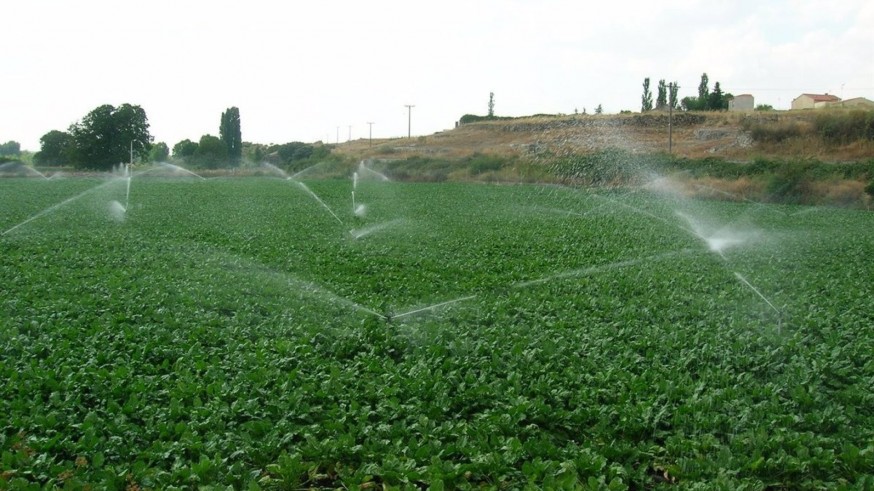 Estudiantes murcianos crean un sensor para reducir el consumo de agua de la agricultura