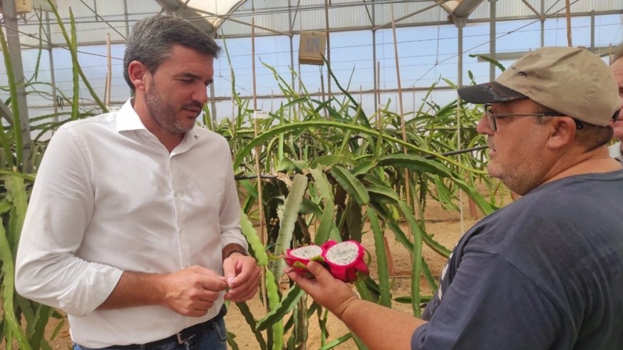 La Comunidad impulsa la introducción de cultivos de frutas como la pitaya en la Región