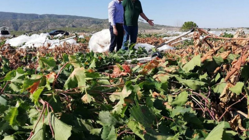 UPA reclama el fondo agrario íntegro para 2026