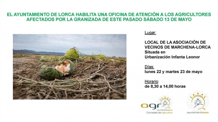 La oficina de atención a agricultores afectados por la granizada del pasado sábado en Lorca abrirá este lunes y martes