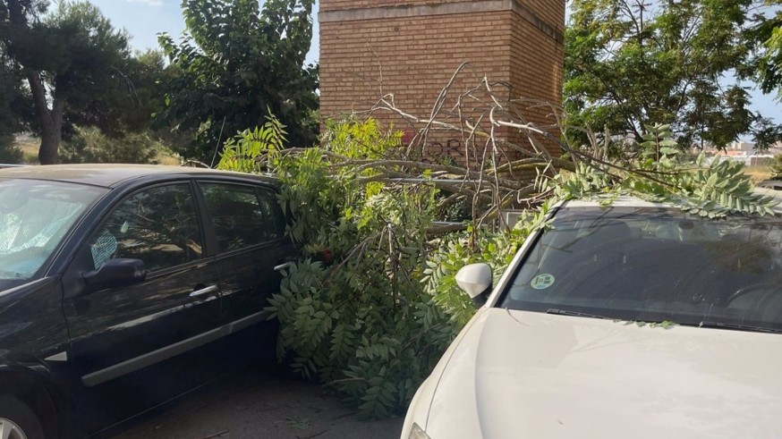 Aviso amarillo por fenómenos costeros en el Campo de Cartagena y Mazarrón