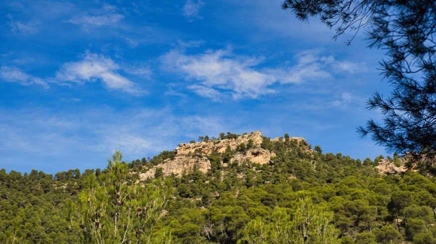 Conociendo Sierra Espuña. Desafío de fin de año
