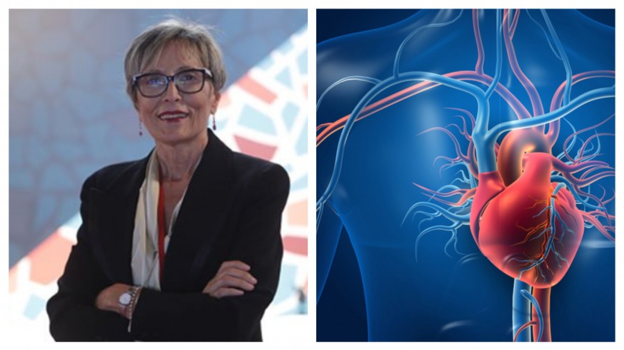 PLAZA PÚBLICA. Colegio de Enfermería: 2ª edición del 'Curso de experto en técnicas cardiovasculares avanzadas'
