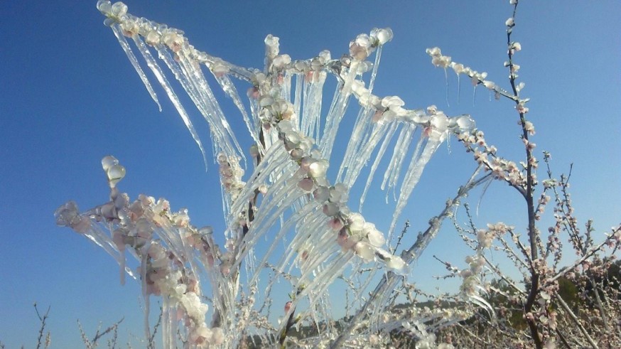 Una masa de aire ártico adelanta el invierno con heladas y bajas temperaturas en la Región