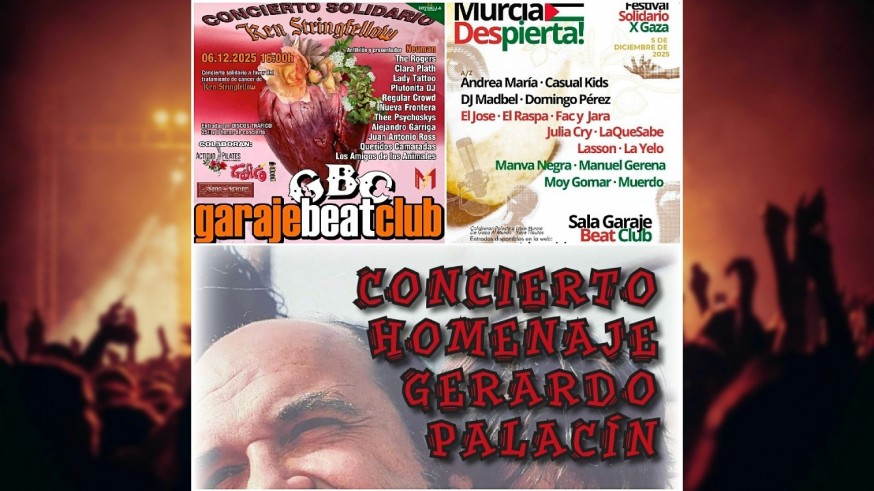 Conciertos solidarios con Palestina, Ken Stringfellow, y homenaje a Gerardo Palacín