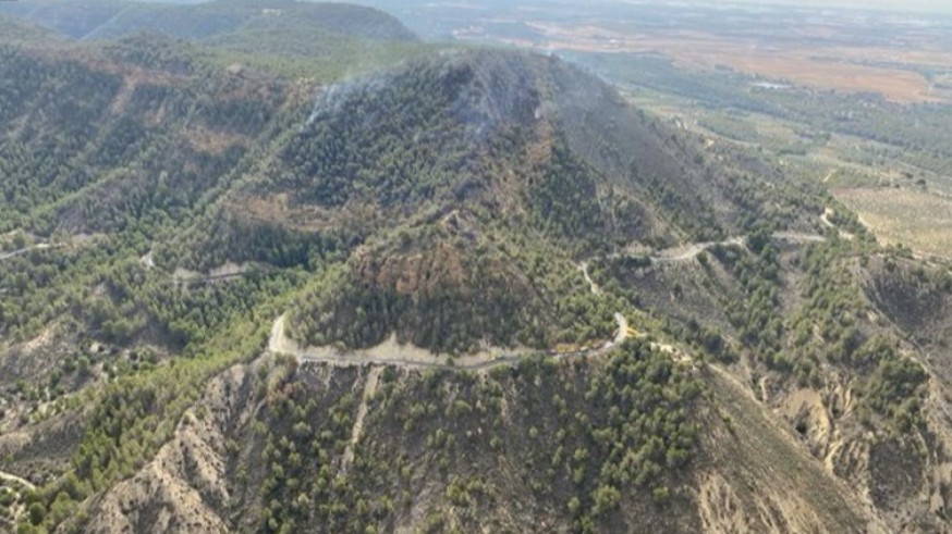 Imagen aérea de la zona afectada en la Sierra de Altaona. 112