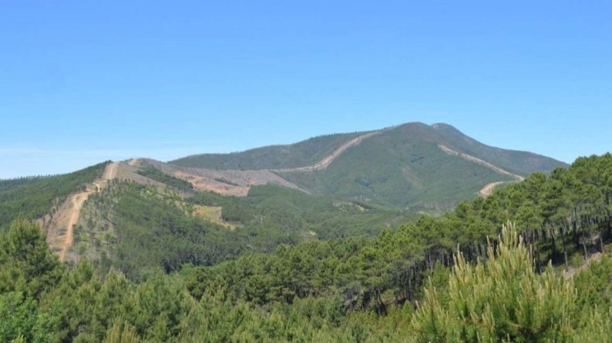 160.000 hectáreas de monte público ayudan a luchar contra el cambio climático en la Región de Murcia