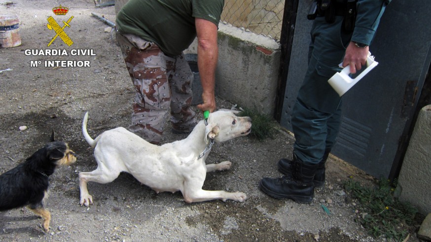 La Guardia Civil investiga a un vecino de Calasparra por maltratar a perros