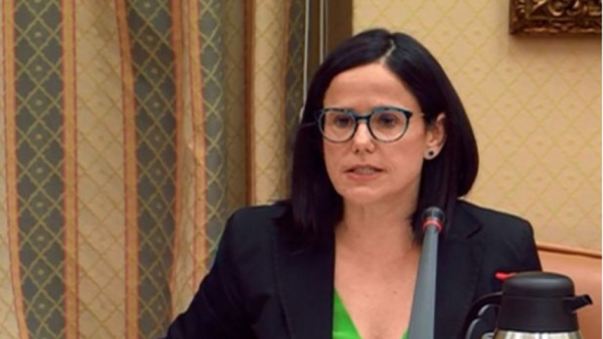 Cinta Pascual en la comisión de Sanidad del Congreso