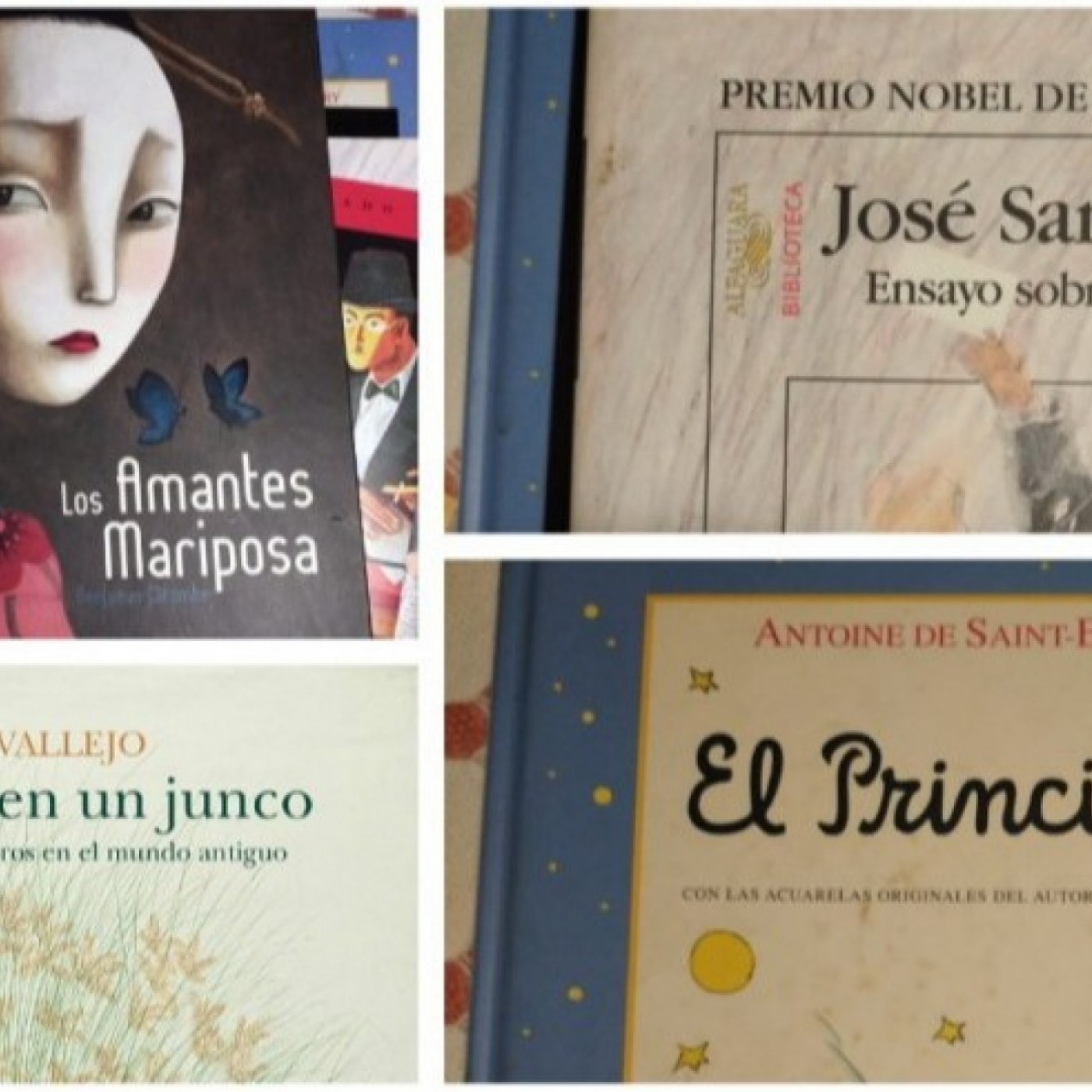 EL MIRADOR T06C161 Literatura, géneros y libros favoritos de los ciudadanos de Murcia (23/04/2026) episode artwork