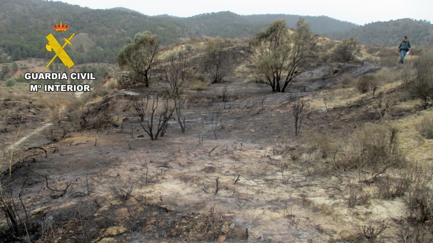 La Guardia Civil esclarece un incendio forestal en Lorca e investiga al presunto autor