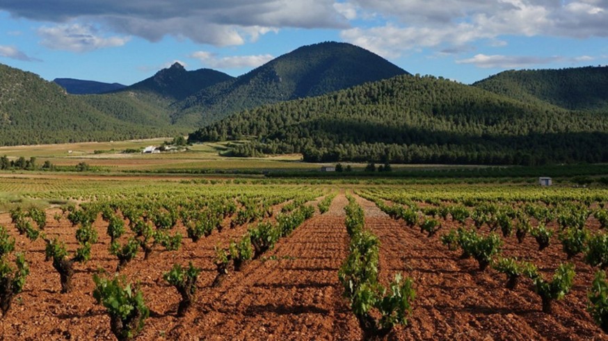 Gestión comunitaria de tierras para luchar contra la falta de relevo generacional en el campo