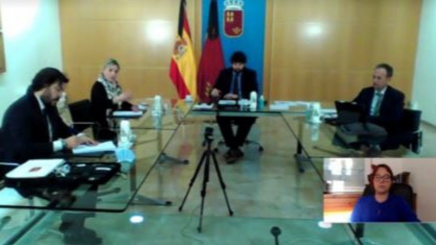 Videoconferencia con los grupos parlamentarios. CS