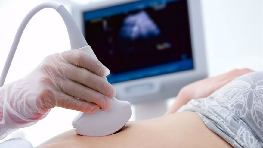 Salud adjudica por casi 6'5 millones de euros a clínicas privadas la interrupción voluntaria del embarazo