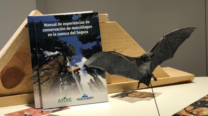 Presentación del manual. AYUNTAMIENTO MURCIA