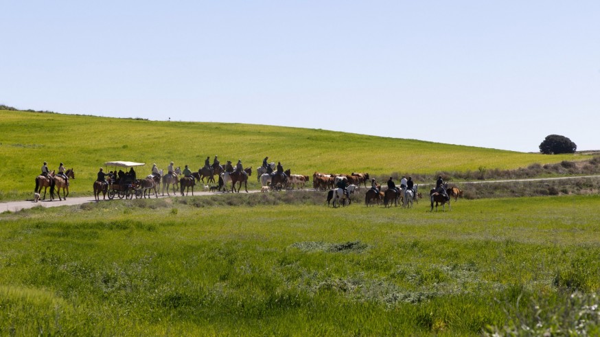 Comienza la trashumancia de vacas hasta Caravaca